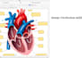 convert your notes, PDF, or ppt into custom anki flashcards